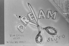 IMG_0034