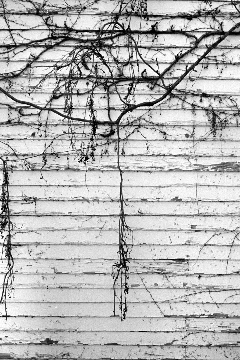 texturas